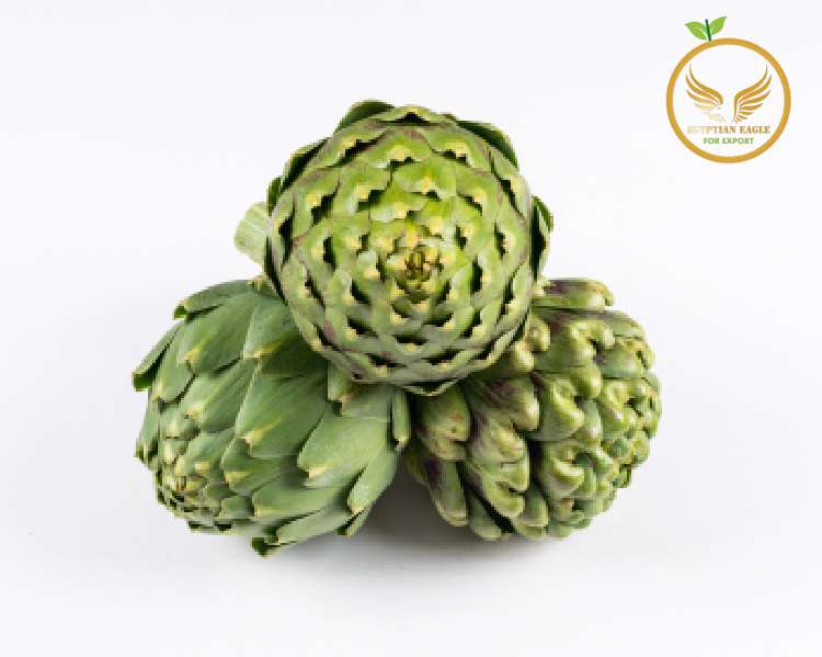 artichoke