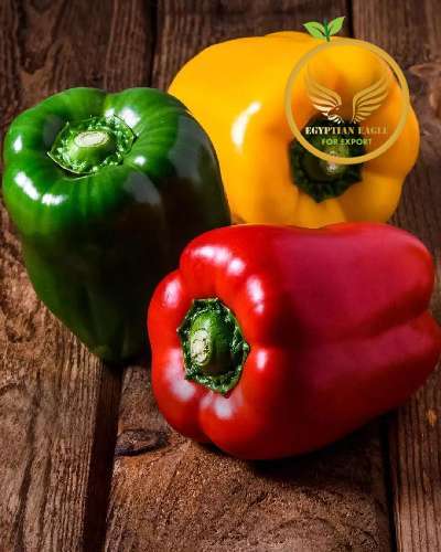 bell Pepper